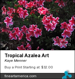 Tropical Azalea Art by Kaye Menner - Photograph - Photography, Digital Painting