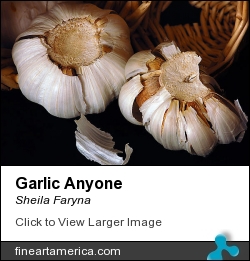 Garlic Anyone by Sheila Faryna - Photograph