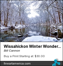 Wissahickon Winter Wonderland by Bill Cannon - Photograph - Photo