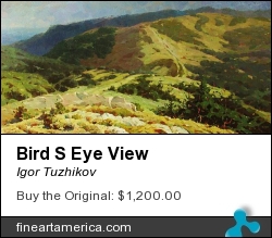 Bird S Eye View by Igor Tuzhikov - Painting - Oil On Canvas