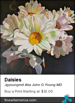 Daisies by Jgyoungmd Aka John G Young MD - Painting - Acrylic