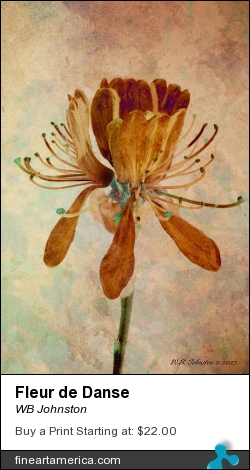 Fleur De Danse by WB Johnston - Photograph - Digital Photography