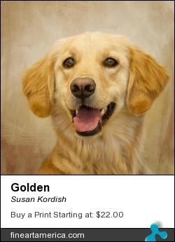 Golden by Susan Kordish - Photograph - Photography/digital Art
