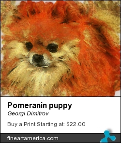 Pomeranin Puppy by Georgi Dimitrov - Painting - Digital Painting
