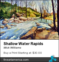 Shallow Water Rapids by Mick Williams - Painting - Watercolor
