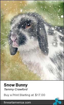 Snow Bunny by Tammy Crawford - Painting - Watercolor