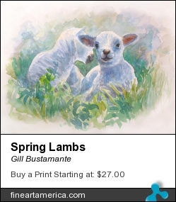 Spring Lambs by Gill Bustamante - Painting - Watercolour
