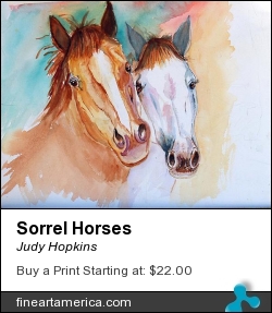 Sorrel Horses by Judy Hopkins - Painting - Watercolor