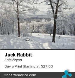 Jack Rabbit by Lois Bryan - Photograph - Photography