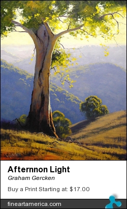 Afternnon Light by Graham Gercken - Painting - Oil On Canvas