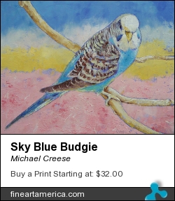 Sky Blue Budgie by Michael Creese - Painting - Oil On Canvas