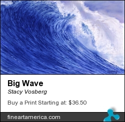 Big Wave by Stacy Vosberg - Painting - Oil On Panel