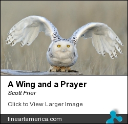 A Wing And A Prayer by Scott Frier - Photograph - Original Print