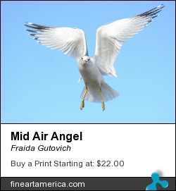 Mid Air Angel by Fraida Gutovich - Photograph - Photography